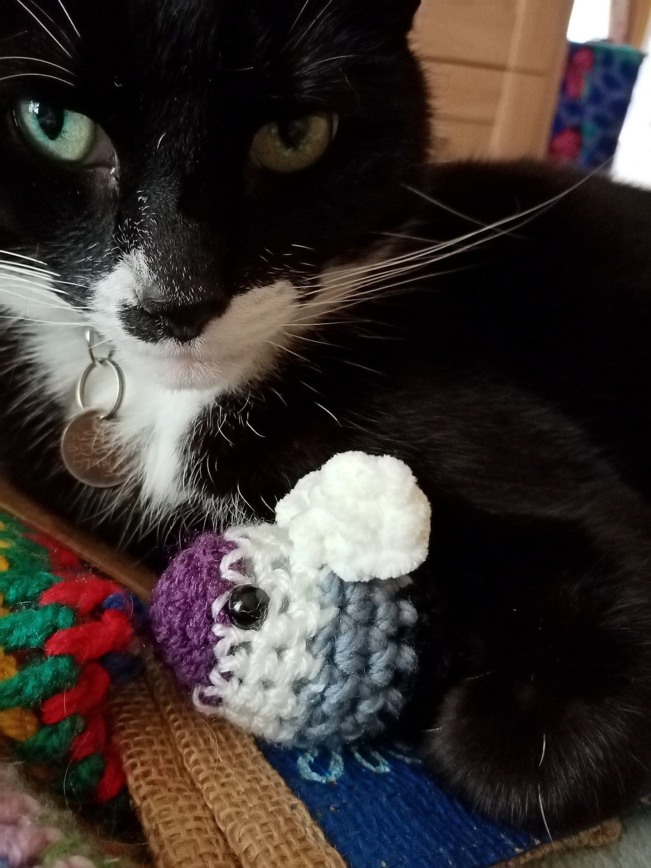Cat Approved Crocheted Pride Bees | Available with or Without Keyring