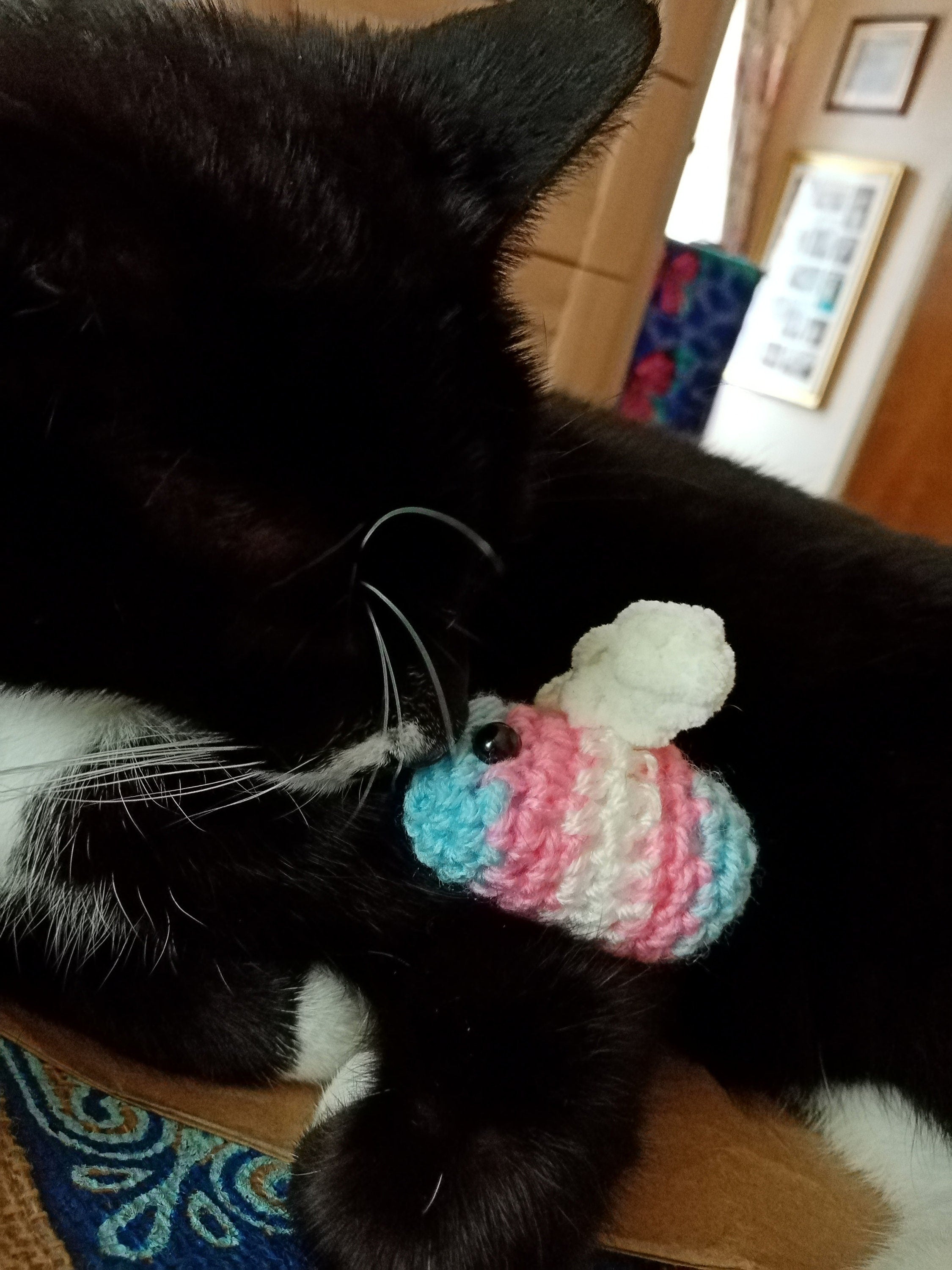 Cat Approved Crocheted Pride Bees | Available with or Without Keyring