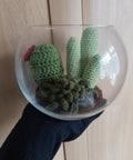 Crocheted Recycled Succulents & Cacti | Recycled Crochet